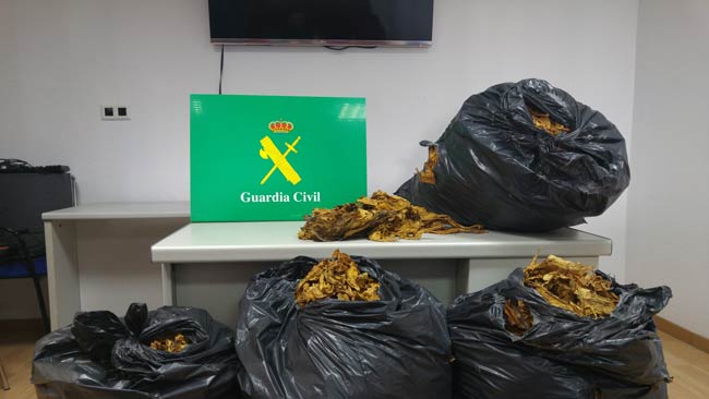 tabaco-en-hoja-mairena