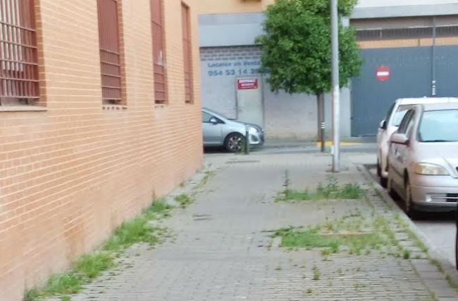 FOTO BARRIO CONTADORES 3