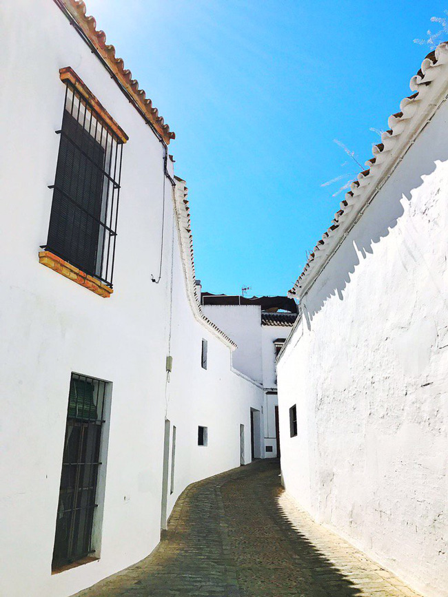 carmona-foto-tuiteada-por-banderas