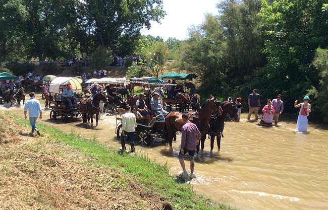 cruce-vado-quema-hermandades-2017