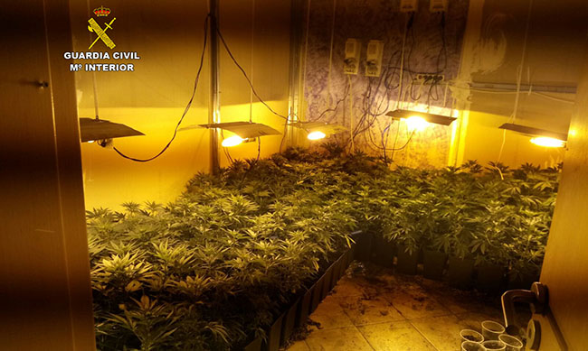 plantas-laboratorio-droga-gcivil