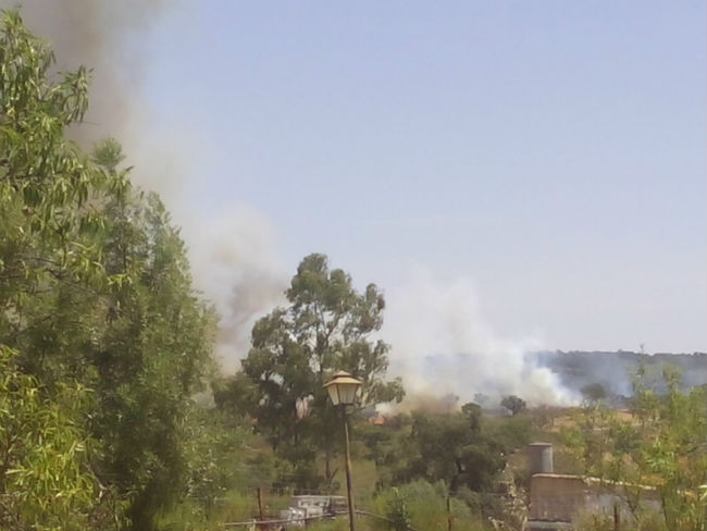 incendio-forestal-madrono-junio17