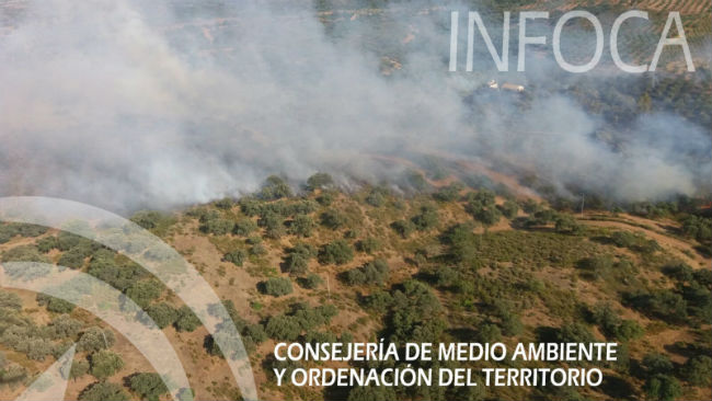 incendio el garrobo junio17