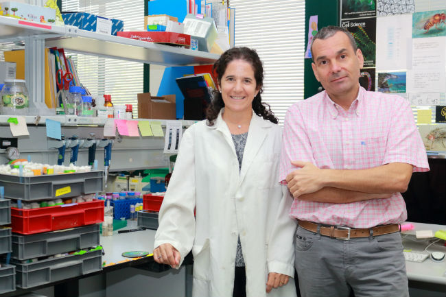 Lola-Martin Acaimo-Gonzalez CABD