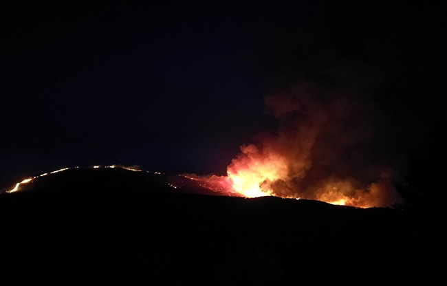 incendio-guadalcanal-francisco-arellano