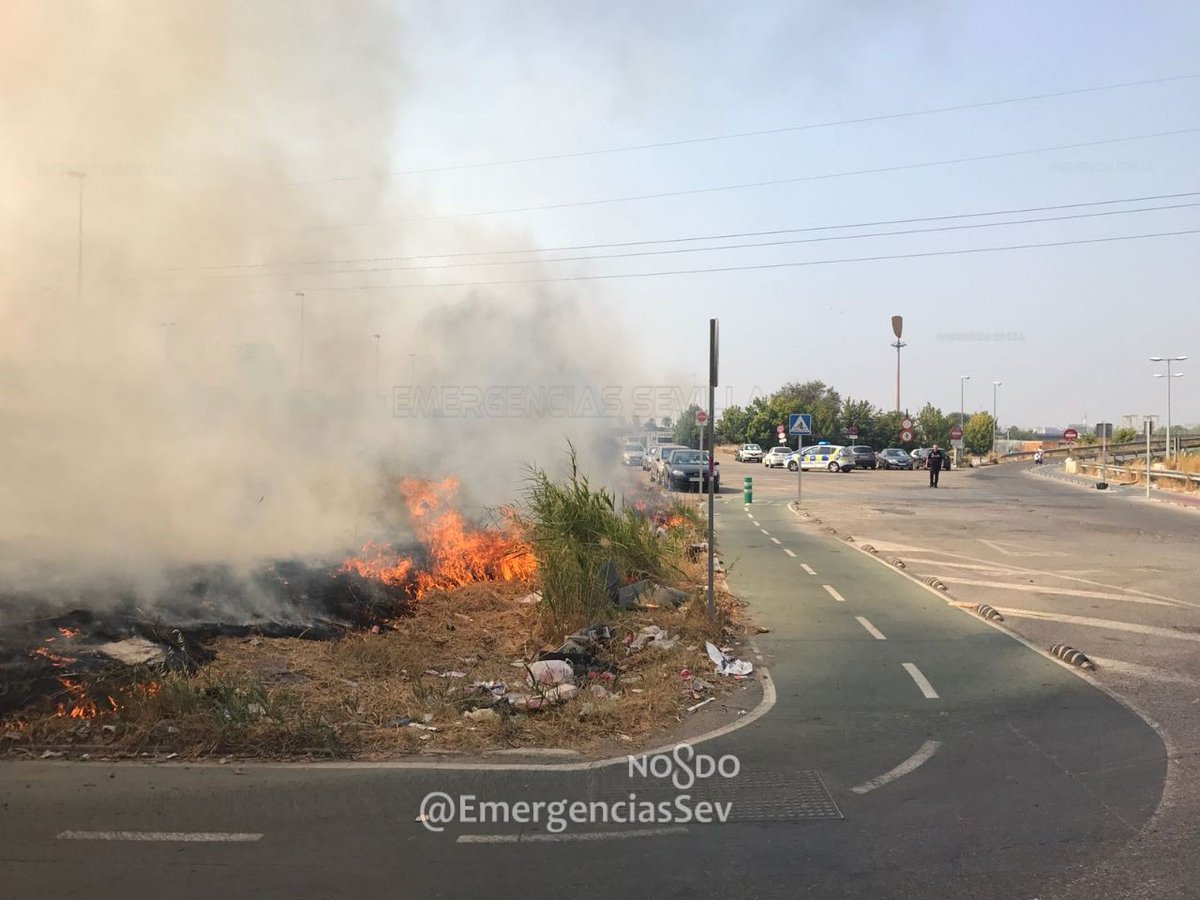 incendio pastos charco pava