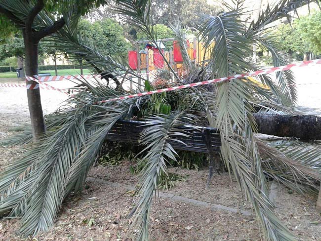 FOTO-PARQUE-DE-LOS-PRINCIPES-2