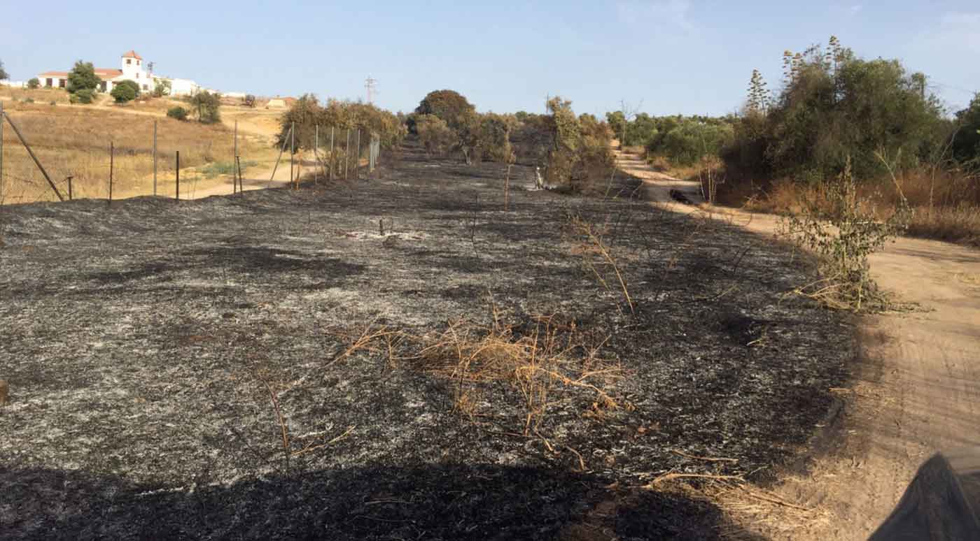 incendio-alcala-2017-web