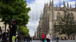 Avenida de la Constitución