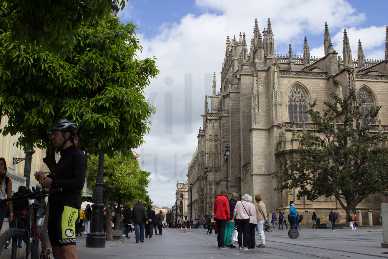 Avenida de la Constitución