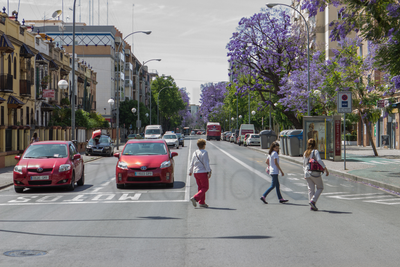 Avenida Ramón y Cajal
