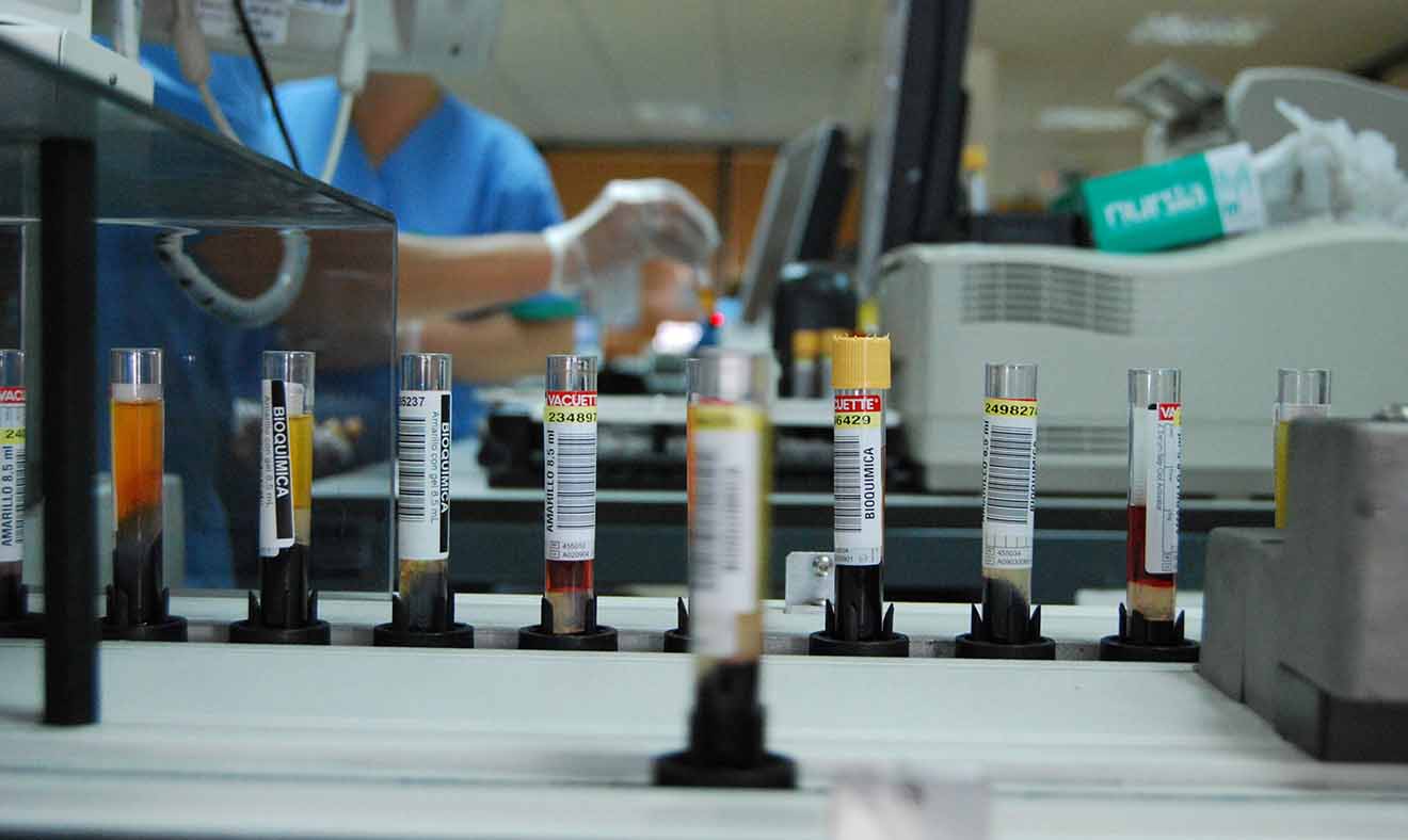 Investigación cáncer colon / SA