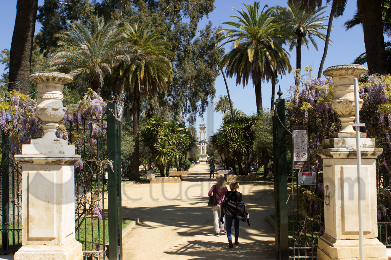Jardines de Murillo