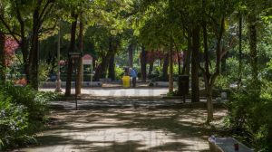 Parque María Luisa