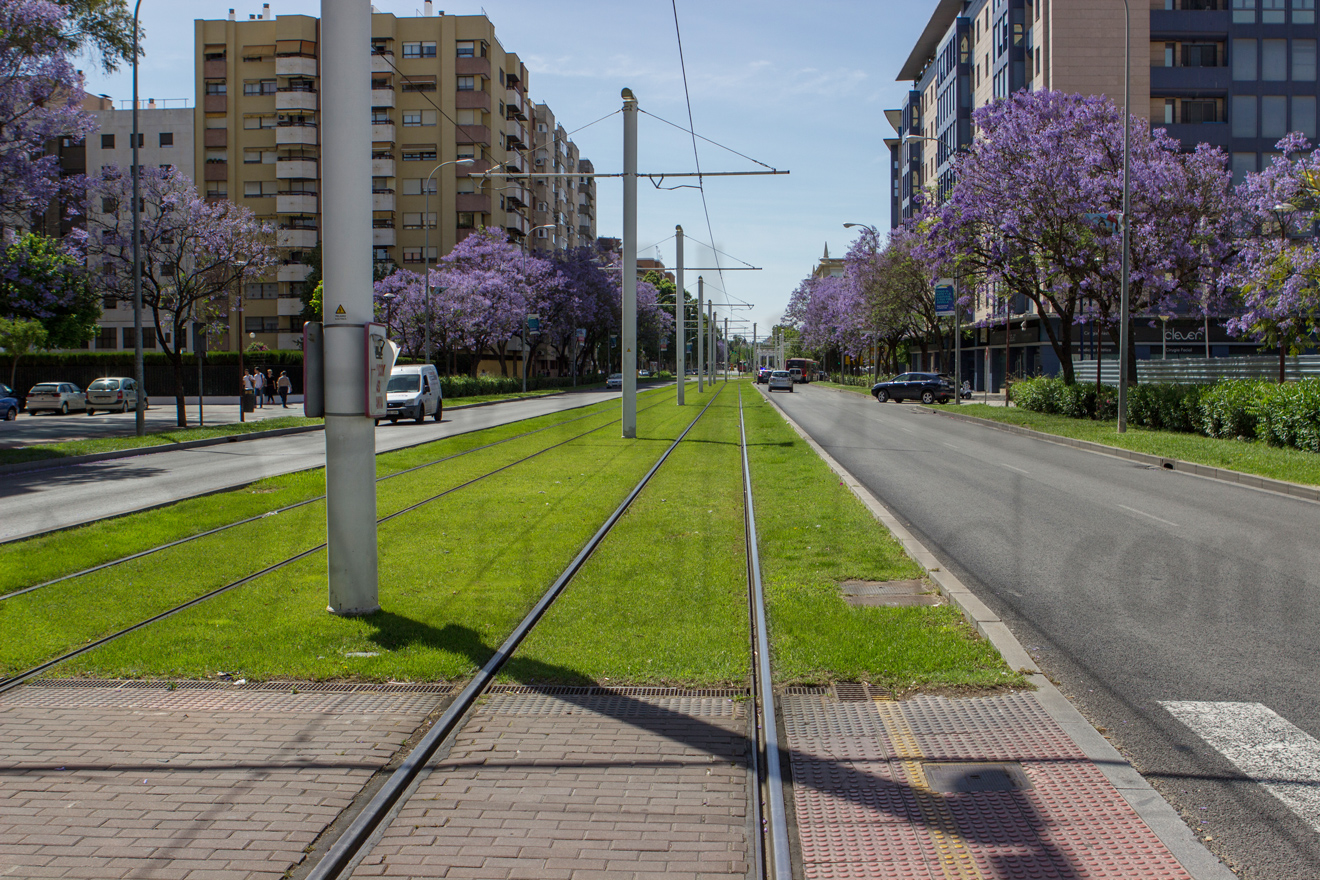 Vías del Tranvía en San Bernardo