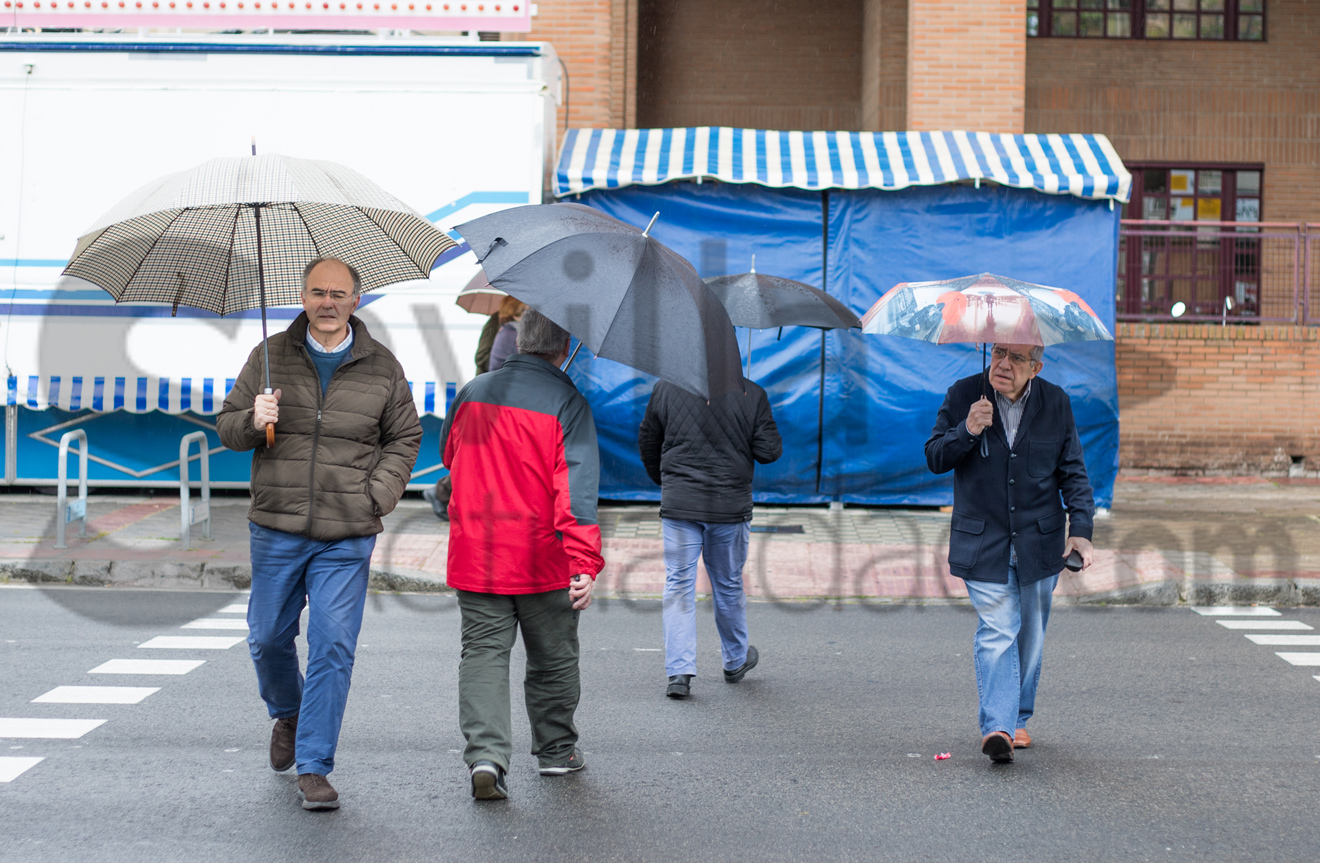 Día de lluvia en Sevilla