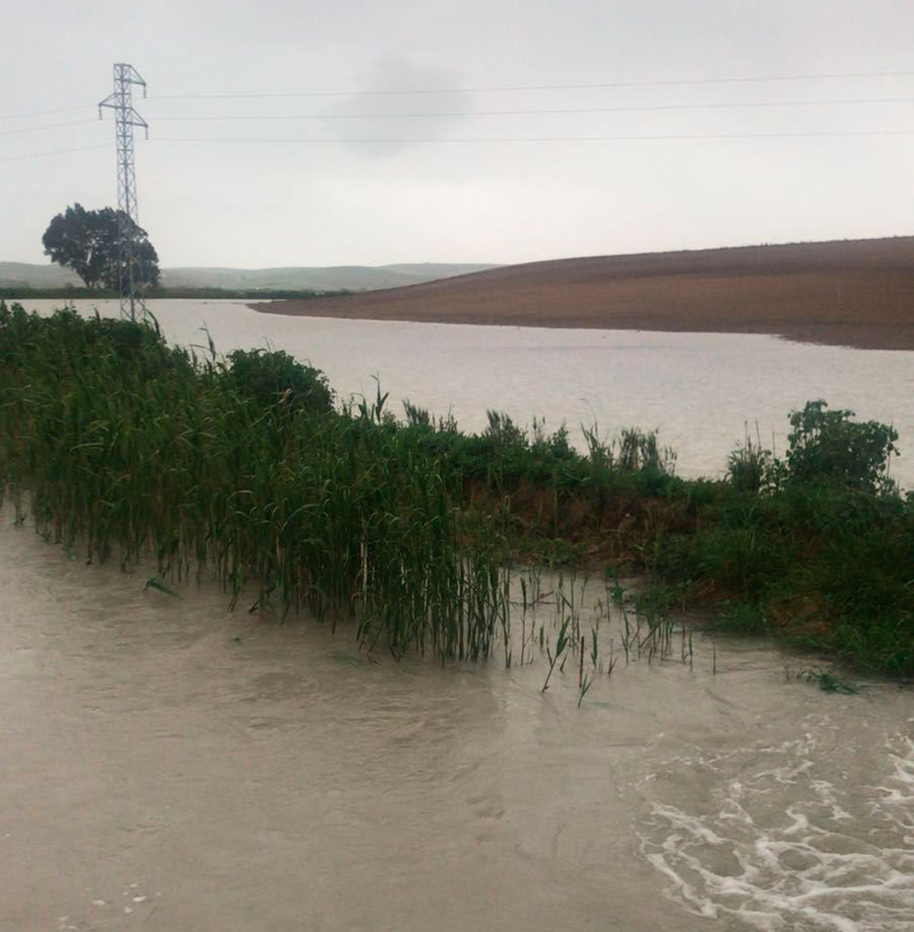 Pantano de Utrera /SA
