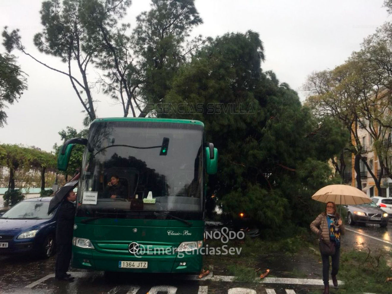 Árbol caído en Paseo Colón /@EmergenciasSev