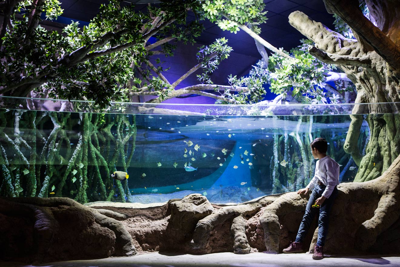 Una de las actividades del Acuario de Sevilla /Acuario de Sevilla