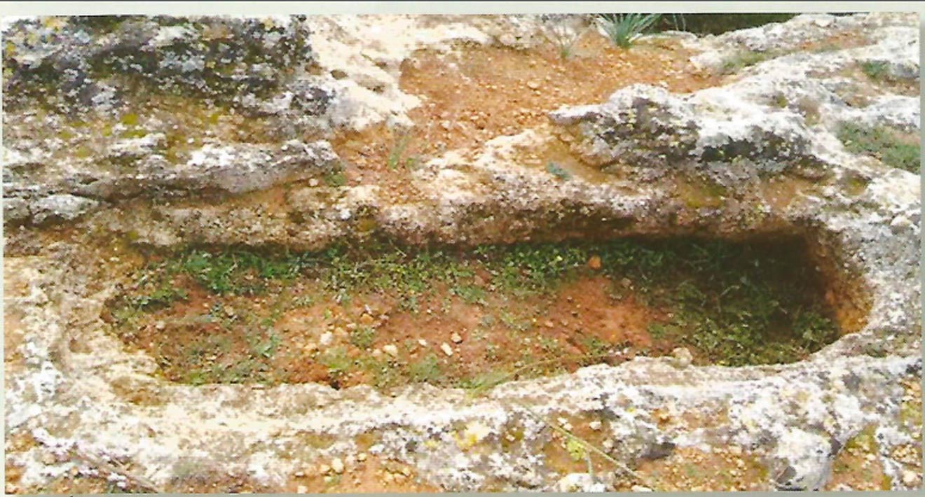 Descubrimiento arqueológico /D&M