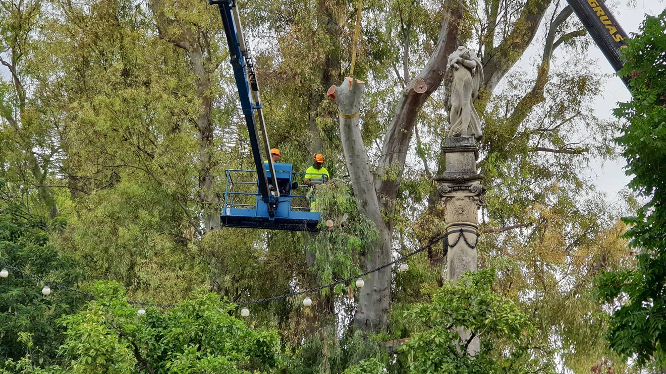 Plan de saneamiento del Parque de María Luisa /Ayto. de Sevilla