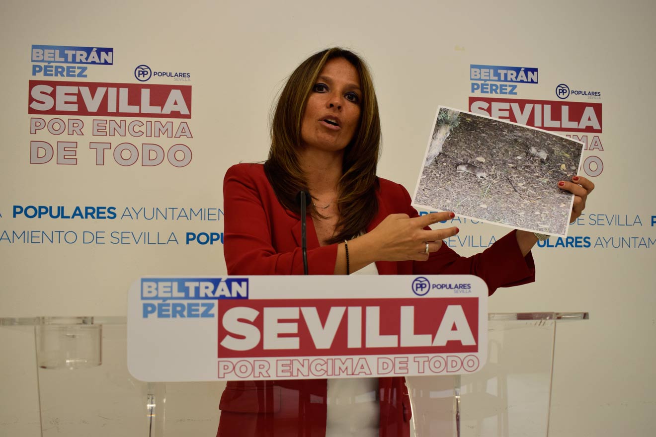 Evelia Rincón /PP