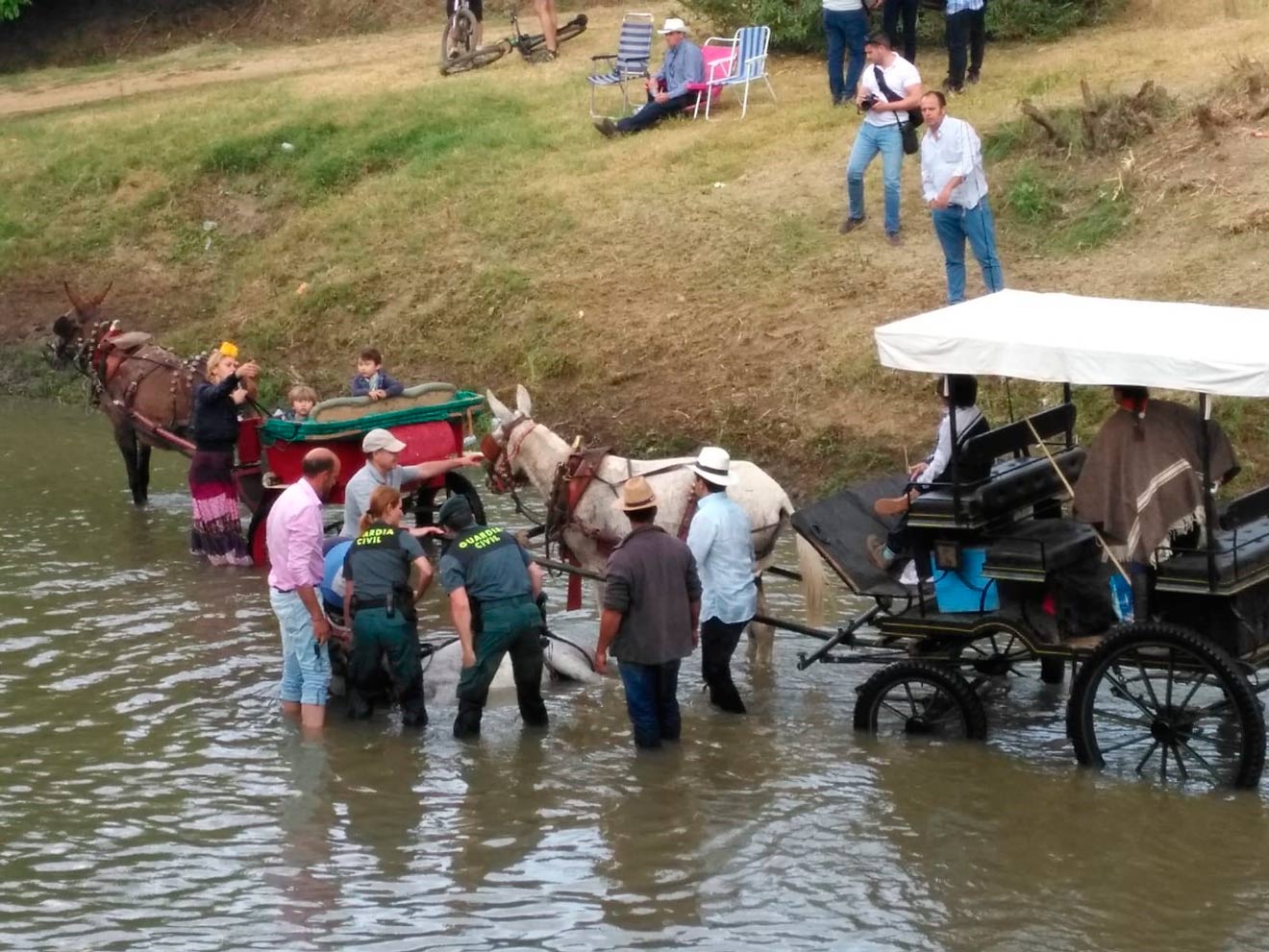 Los agentes reanimando al mulo /Guardia Civil