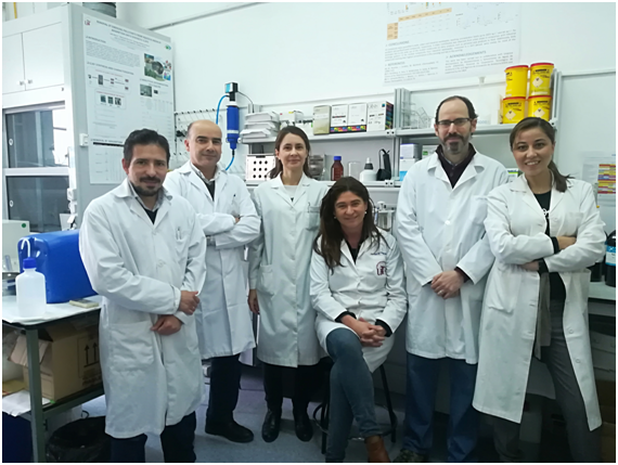 Grupo de investigación /US