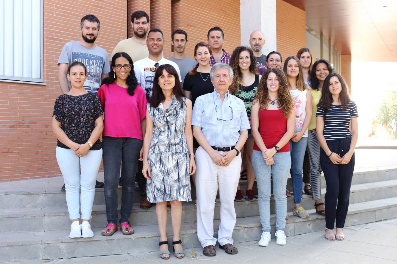 División de Neurociencia /UPO