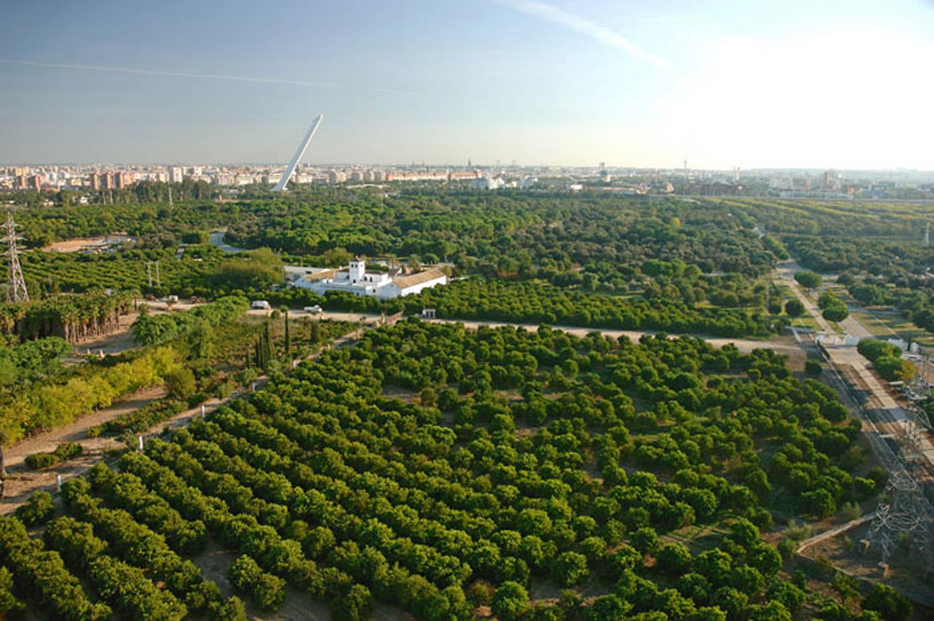 Parque del Alamillo /Junta de Andalucía
