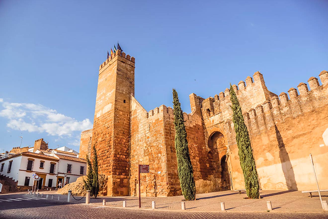 Puerta de Sevilla en Carmona /Rutabéticaromana.org