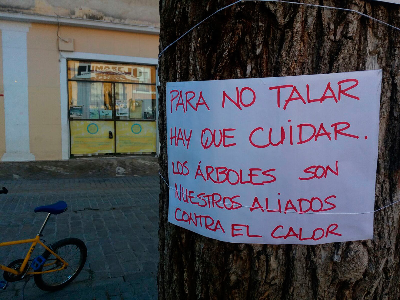 Carteles contra el arboricidio en el Pumarejo /SA