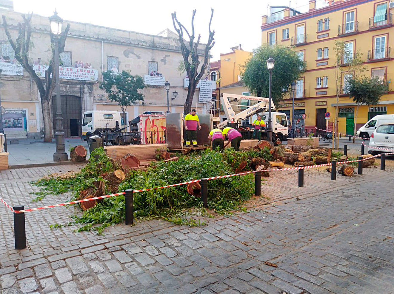 Tala de árboles en el Pumarejo /@Ferpavonher