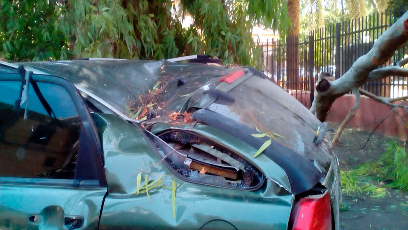 Destrozos en uno de los coches por la caída de la rama / @eveliarincon