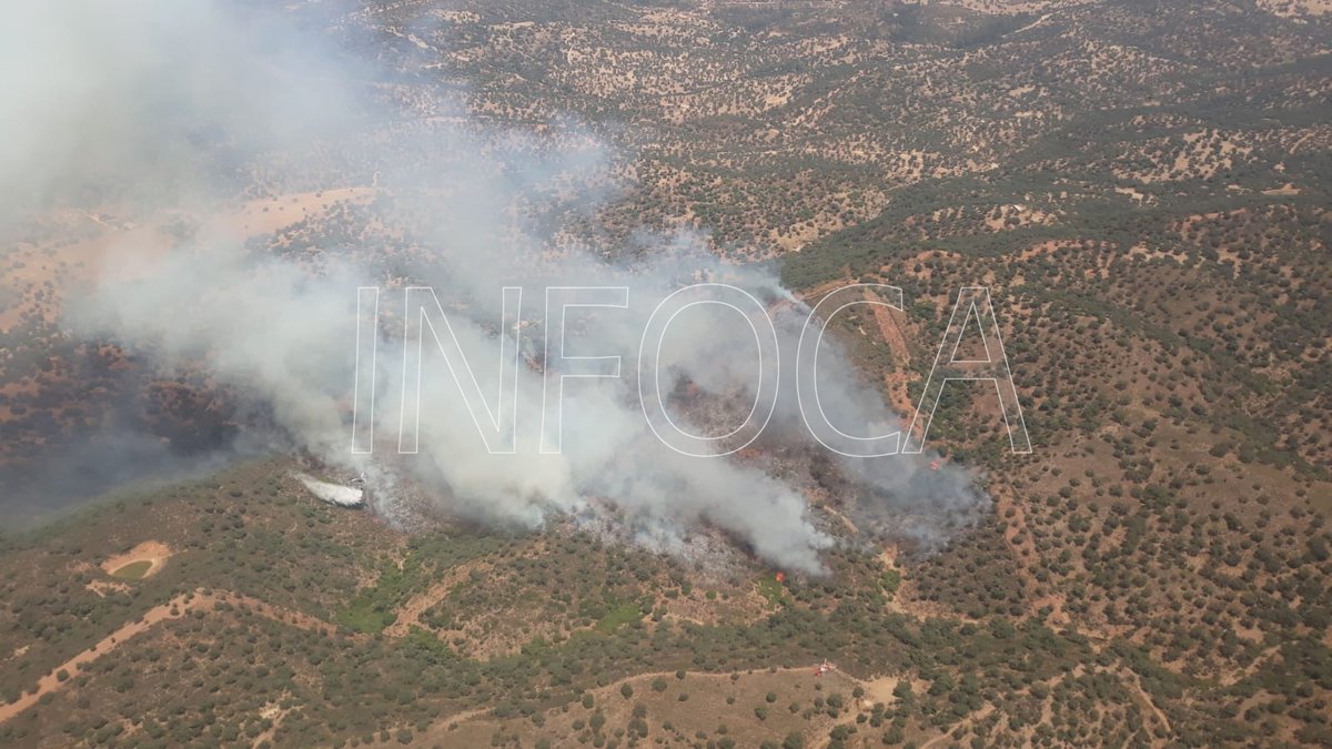 Incendio en un paraje del Castillo de las Guardas /SA