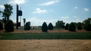 Buscan al ladrón del césped de una rotonda de El Viso /@Inesporro