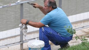 Aumenta el número de población empleada /SA