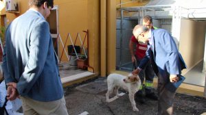 Zoosanitario municipal /Ayto. Sevilla