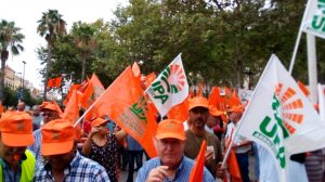 Protesta por la aceituna de mesa /@UPA_Federal