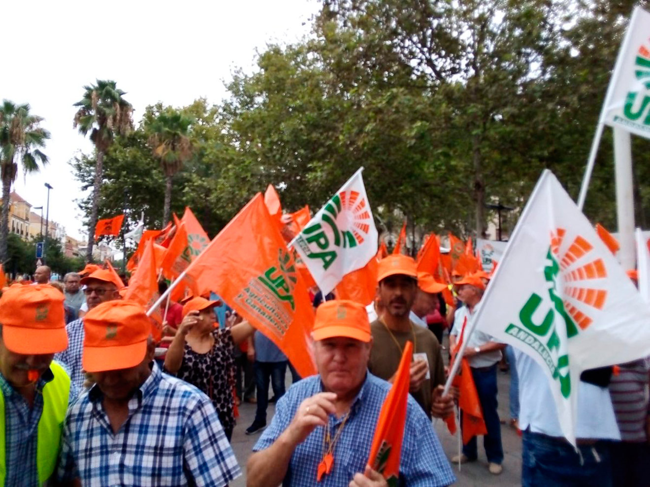 Protesta por la aceituna de mesa /@UPA_Federal