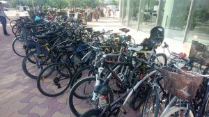 Bicicleteros /Jaime Sierra