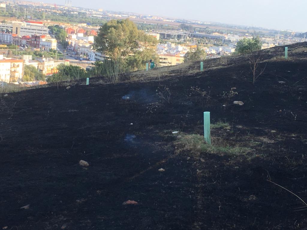 Nuevo incendio en el Carambolo /@Sevilla Más Verde