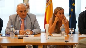 Rueda de prensa ingenieros y arquitectos /COAG