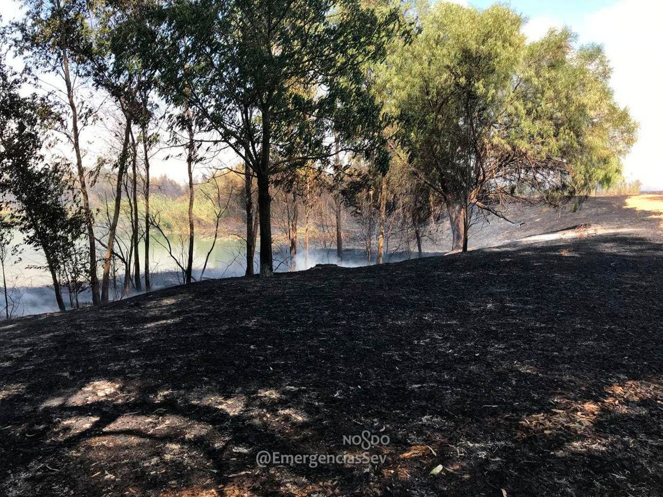Incendio en el Parque del Tamarguillo/@EmergenciasSev