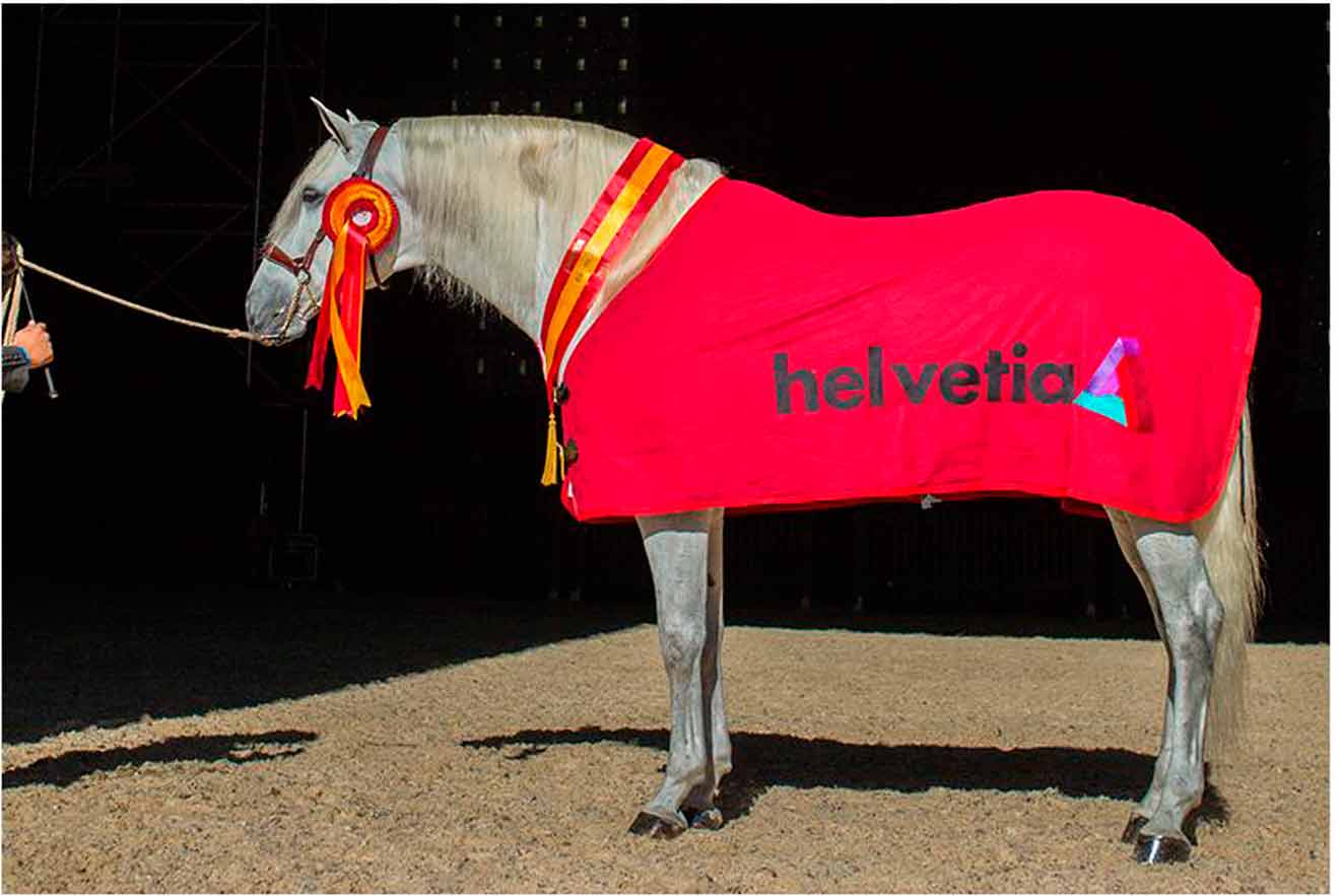 Ejemplar ganador de otra edición / SICAB