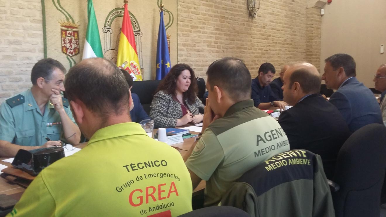 Reunión acontecida / Delegación del Gobierno de la Junta en Sevilla