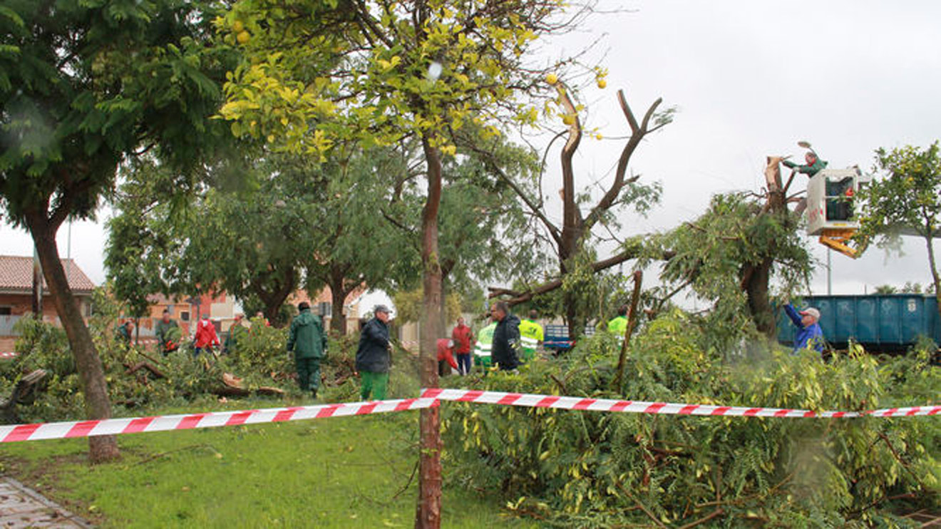 Desperfectos ocasionados / MG