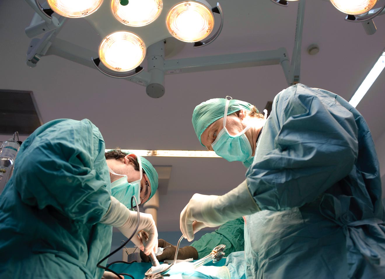 Especialistas sanitarios / SAS