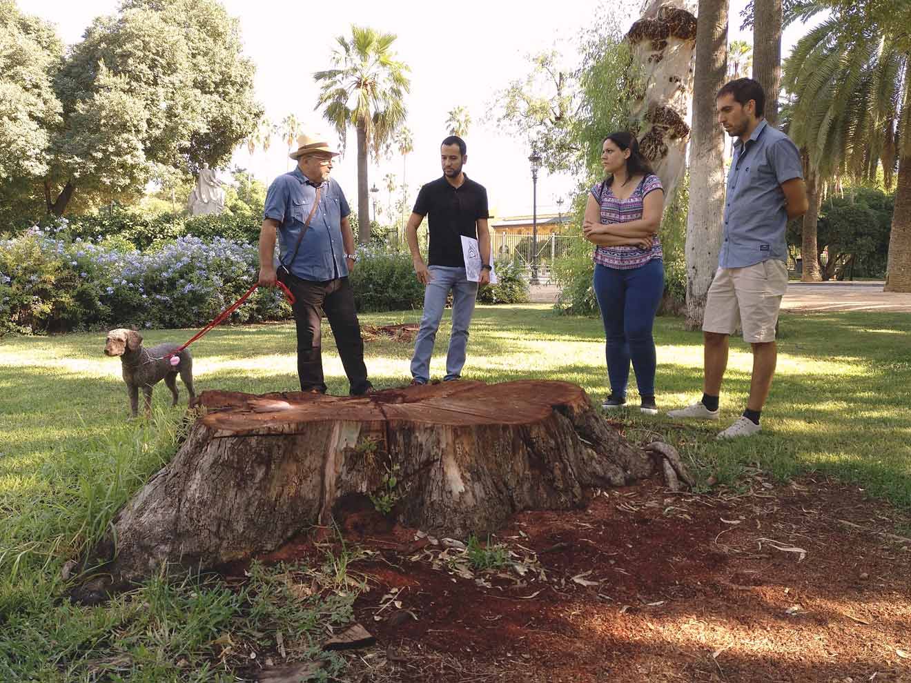 Parque María Luisa / IU