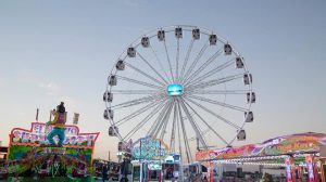 Feria de Los Palacios